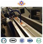 11kw Three Color TPR Shoe Welt Goodyear Welt Machine Production Line Plastic