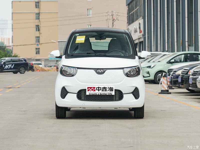 Electric Cars Electric Vehicle Conversion Xiaohu FEV 2022 FOR-Four obedient tiger which best selling