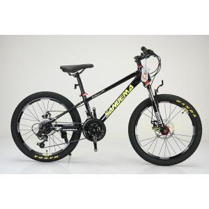 Quality Steel Frame 20 Inch WANDA 20*2.125 Tyre Children Bicycle For Durable 21 Speeds MTB wholesale