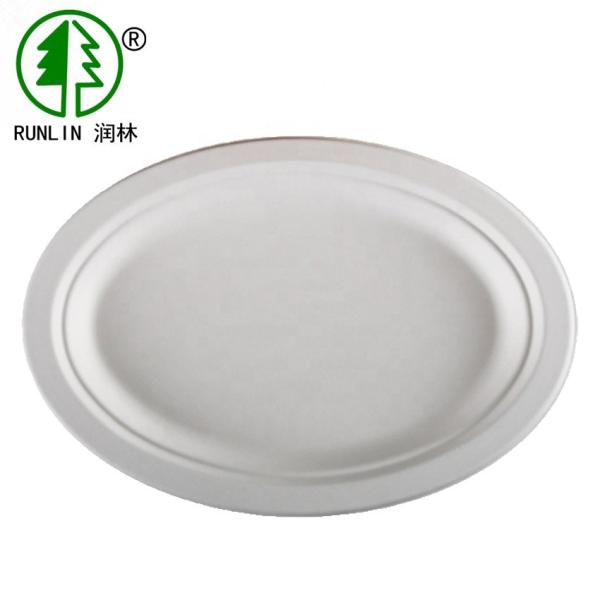 FDA Disposable Oval Restaurant Serving Trays Bagasse Environmental Disposable