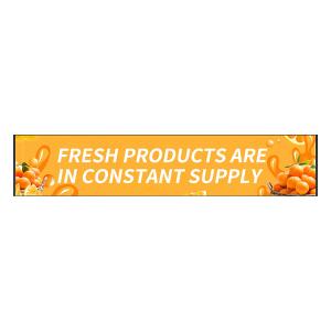 Quality Anti-UV P4 Bus LED Screen Display Boards 1600*320mm 4G/WiFi wholesale