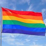 3X5 RAINBOW Double Sided FT POLYESTER FLAG GAY PRIDE