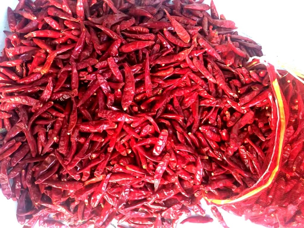 Zero Additive Erjingtiao Dried Chilis Pungent Dehydrated Hot Peppers