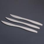 Pla Plastic Knife 18.5cm Biodegradable Disposable Tableware