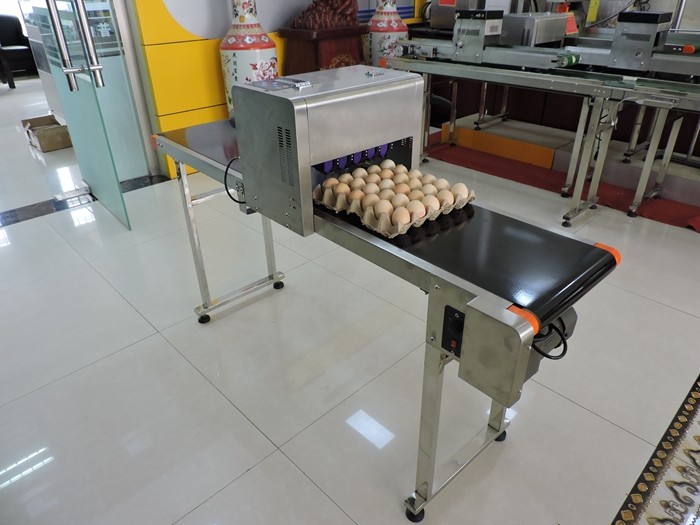 High Frequency Expiry Date Stamping Machine , Egg Jet Printer For Eggs
