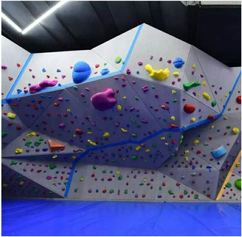 10-Piece Gecko King 2018 Rock Climbing Wall Holds in Different Colors for Alternation