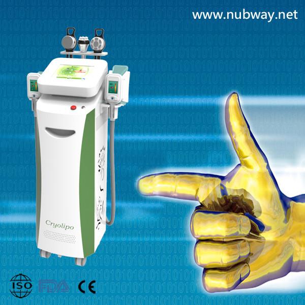 Cheap cryolipolysis lipo laser for sale
