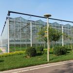 10 X 6 10 X 12 10 X 10 10 X 8 Commercial Glass Greenhouse Galvanized Steel
