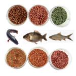 Provided Video Outgoing Inspection Pedigree Pet Dog Food Making Machine