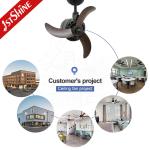 Ceiling Fan 1stshine Air Cooling 120 Degree Revolve DC Motor 5 Speed 16 Inches