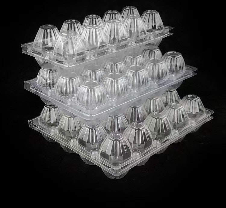 Hinged Clamshell Clear Plastic Egg Tray 10 Holes PET Compression Resistance