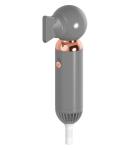 800W Ionic Salon Hair Blow Dryer High Speed With Concentrator