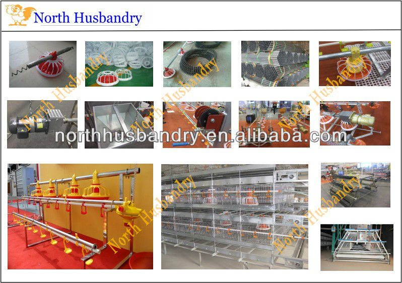 professional high quality good poultry house design for Nigeria