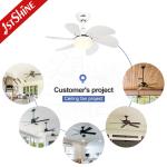 White Ceiling Fan Light Kids' Room DC Motor 30 Inch Mini LED Ceiling Fan