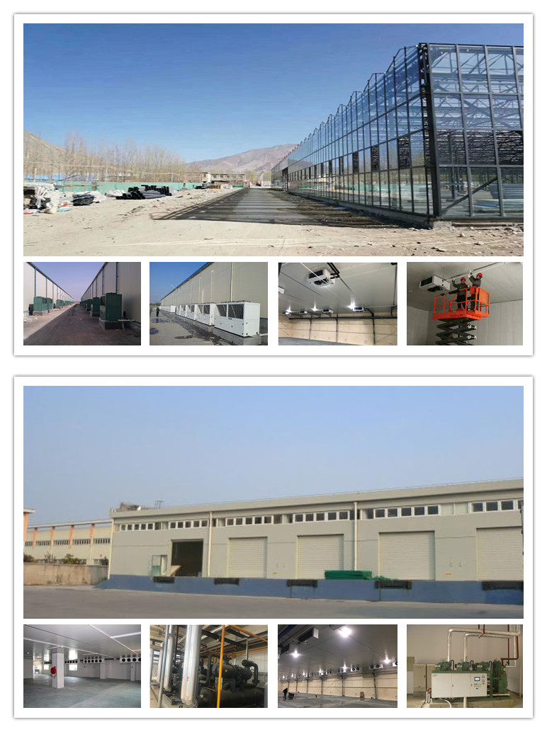 V Type Air Cooled Cold Room Condenser Evaporator For Cold Storage