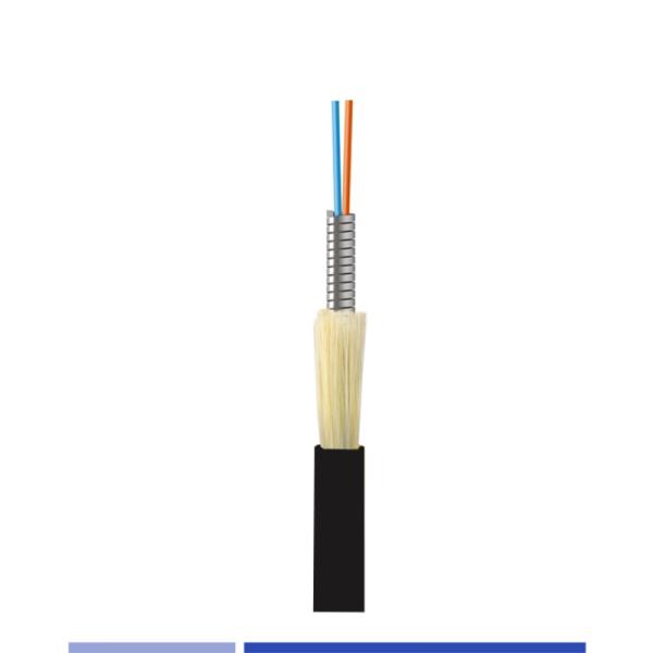 12 Fiber Armoured Fibre Optic Cable Singlemode G652D LSZH Jacket For Indoor