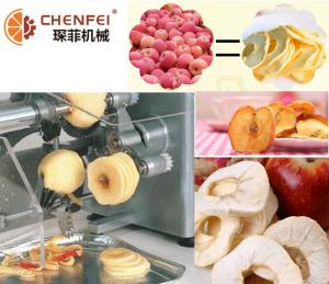 Quality Easy Operattion SS304 Dried Fruit Production Line For Freeze Dried Apple Pear wholesale