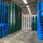 Single Faced Light Hygienic Euro Plastic Pallet 1100X1100X125mm