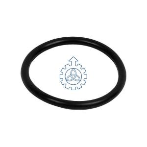 Quality O-ring 7400925073,925073 wholesale
