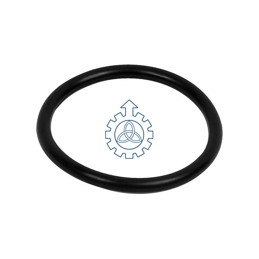 O-ring 7400925073,925073