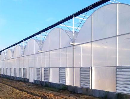 Polycarbonate Sheet Aquaponic Tomato Galvanized Steel Pipe For Prefabricated PcTent Greenhouse