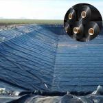 0.1mm 3mm HDPE Geomembrane Pond Liner for Fish Shrimp Farm 100% Virgin HDPE