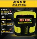 Lead Acid 10AH 200AH Intelligent Car Battery Charger