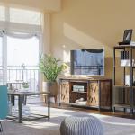 TV Cabinet with Barn Door, Farmhouse Style TV Cabinet, TV Stand with Sliding