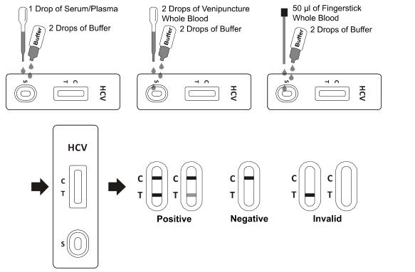 ISO13485 HCV Infectious Disease Test Kit High Specificity Rapid Diagnostic Test Kits