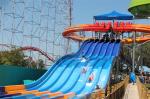 Adult Octopus Water Slide Fiberglass Curved Water Slide Customized Color