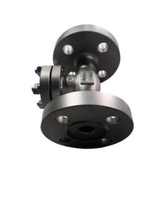 Quality PN50 Flange Type Stainless Steel Cryogenic Check Valve With High Quality wholesale