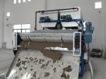 SS304 municipal sludge dewatering Belt press