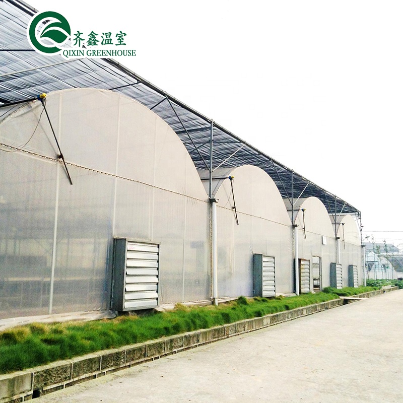 PO Film Double Layer Hydroponic Container for Superior Plant Growth Results