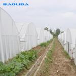 Single Span Plastic Film Tunnel Greenhouse Anti Corrosion Vegetable Growing