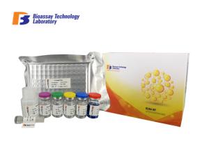 Quality 96 Wells Sort1 Human Elisa Kit High Precision / Sensitivity For Research wholesale