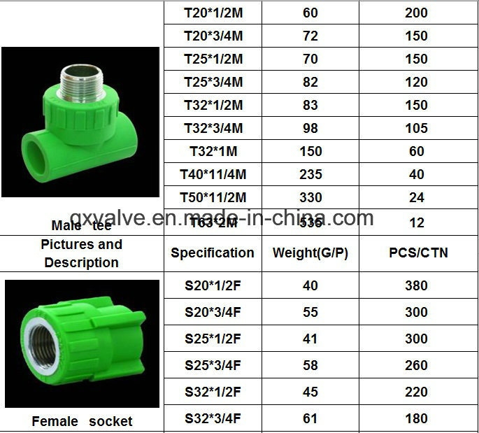 Hot Water Supply Brass Insert Fitting Plumbing Fitting PPR Pipe Fitting