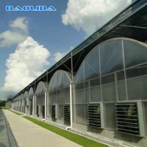 Quality Large Polycarbonate Film Greenhouse / Multi Span Greenhouse Multi Functional wholesale