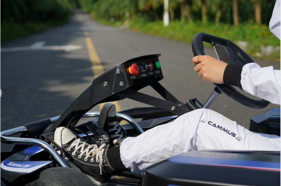 Professional Single Motor Performance Go Kart 80km/H 4 Wheel Drive
