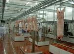 Fresh Keeping Industrial Freezer Room Waterproof Low Temperature Cold Room