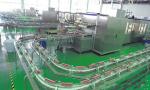Ring - Pull Cans Dairy Milk Processing Machinery / Equipment Low Power