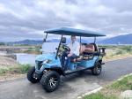 Lithium Electric Golf Carts Customized Manufacture Off Road Street Legal
