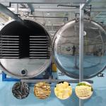 Vegetables Food Vacuum Freeze Dryer SS Freeze Drying Equipment