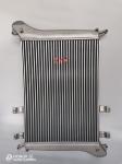 WG9725530280 Aluminum Intercooler Assembly