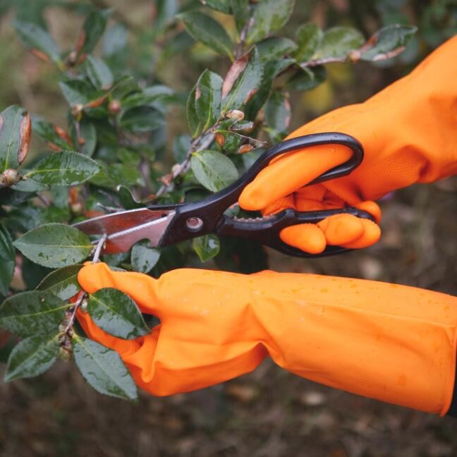 Excellent Grip Durable Garden Gloves Tear Resistant Kitchen Rubber Gloves