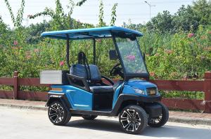 Quality Fuel Type Electric Golf Vehicle / 2 Seater Golf Buggy 1 Year Warranty wholesale