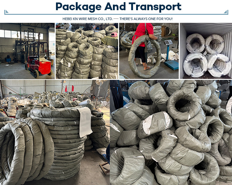Double Twisted Galvanized Steel PVC Coated Razor Fencing Wire Wall Spike Directly Sourced