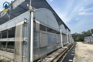 Quality Multi Span Cultivation Hydroponic System Greenhouse For Year Round Farming wholesale