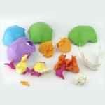 Didactic Exploded Cranial Model 22 Parts Chromatic Life Size for Medical