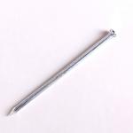 Steel Galvanized Spiral Concrete Nails High Carbon 55# Steel Material