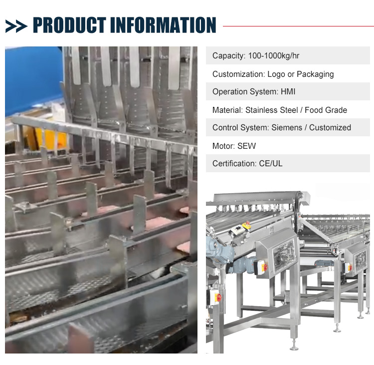 Customized Tray Loader On-Edge Multi Coockies Automatic Biscuit Packing Machine